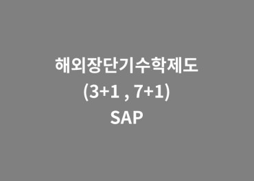 해외장단기수학제도 (3+1, 7+1) SAP